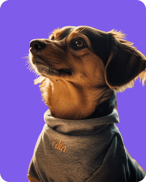 Dog with purple background