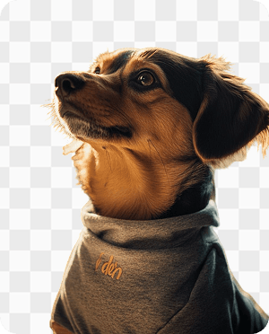 Original dog photo